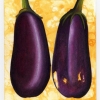 "Two Eggplants"