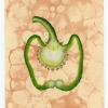 "Green Pepper"