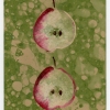 "Two Small Pears"
