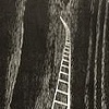 "White Ladder"