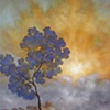 Elinor's Light--Adam Hayward