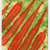 "Carrots"