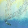 "Deep Sea Dreaming" by Erin Swanson