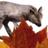 wolf and rabbits