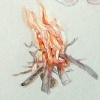 dream love train detail (fire)