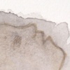 bluebird detail