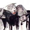 wolves