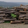 logpile