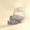 dream love train