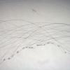 the battle of lineart - step one detail