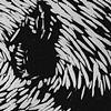 The Swirl

Rooster Hysteria Series 