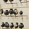Every Dirty Thought, detail