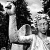 persephone calls