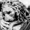 the nemean lion sleeps tonight