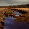 Hansen Meadows in May