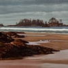 Ebb Tide, Chesterman