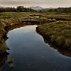 Evening Estuary