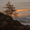 The Gloaming Hour, Clayoquot