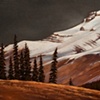 "Conifer Stand, Rockies"