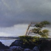 Wind Worn (study)
