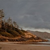 Headland in August Light