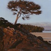 Last Light, Schooner Cove 