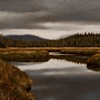 Promise of Rain, North Island