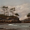 Shoreline Sentinals