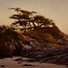 Coastal Harmony