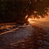 Leaning to the Light
