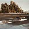 Low Tide, schooner Cove