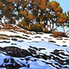 Arbutus Grove in Winter Light