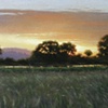Riverside Oaks at Sunset