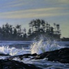 Shoreline Drama