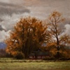 Cowichan Farm