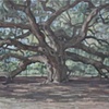 Angel Oak (II)