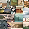 "The Tyler Warren Experiments..." Blue Magazine Vol.19, 2009-5