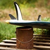 Bonzer