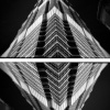 "Tribute to M.C. Escher..."