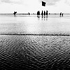 Kuta Micro Lines