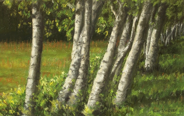 Birches