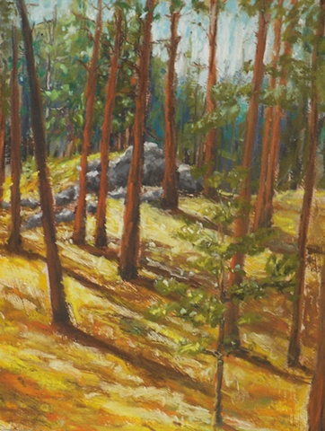 Tall Pines