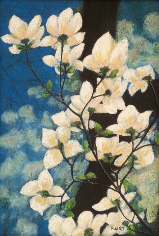 Under the Dogwood