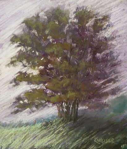Misty Morn