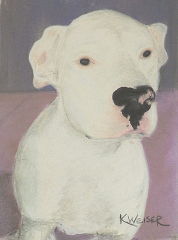 Casper The Friendly Dog