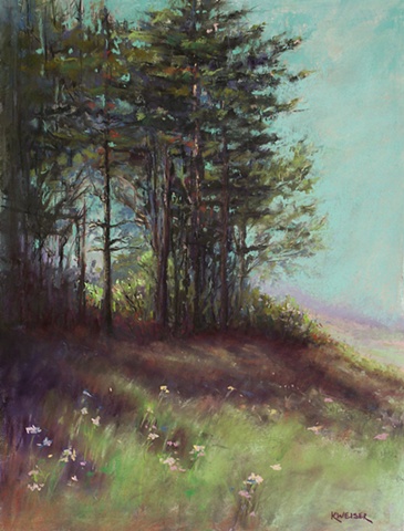 The Pines