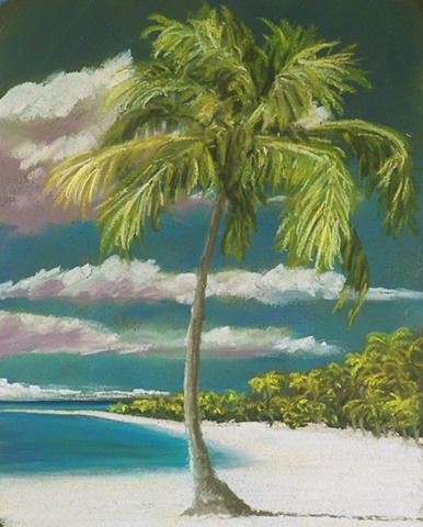 Palm Shade