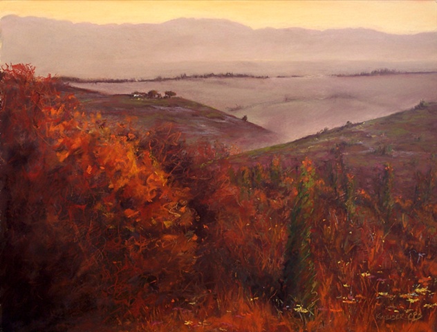 Sunrise In Sonoma