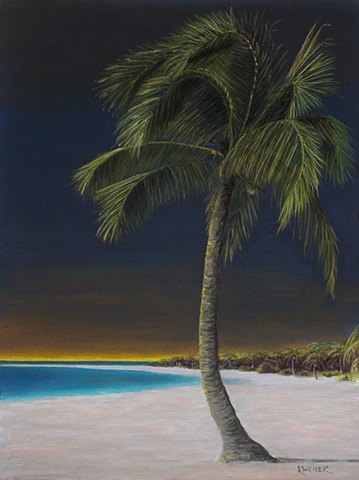 Lone Palm At Night