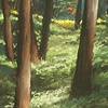 Path Less Traveled 2
